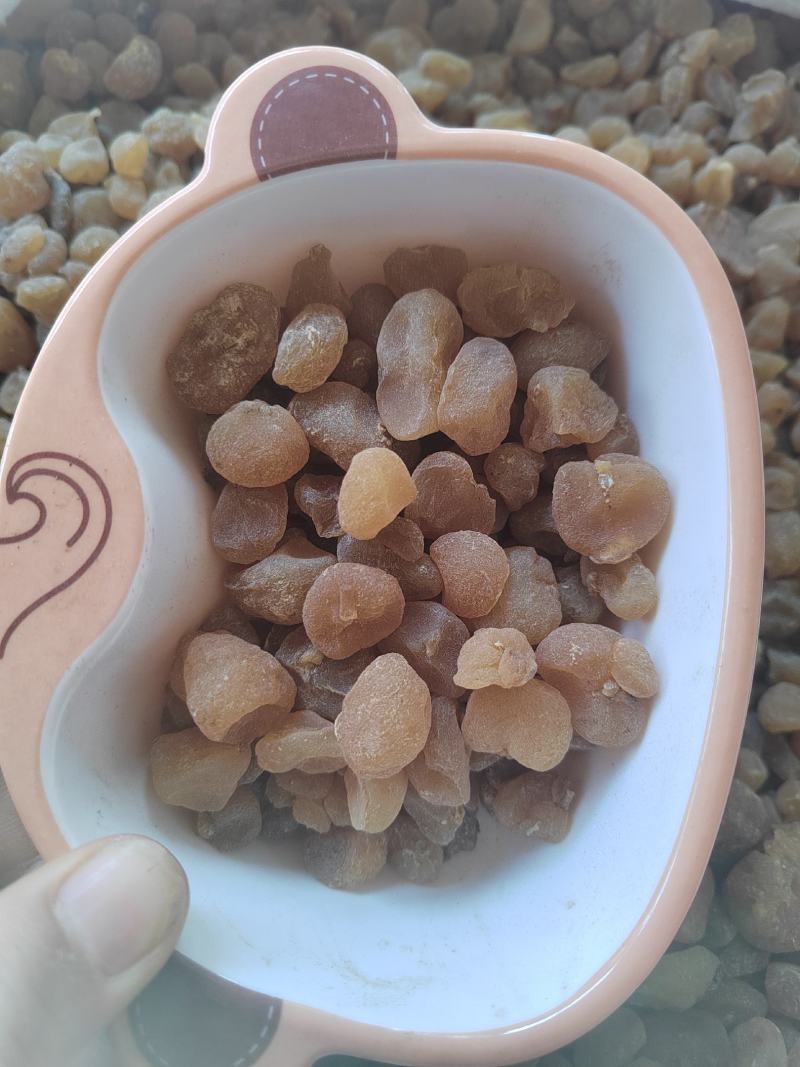 土贝母，精选中药材正品土贝，丹丹中药材批发