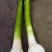 优质大蒜