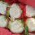 黄心白菜降价4~6斤，大量上市，质量上乘，白菜价