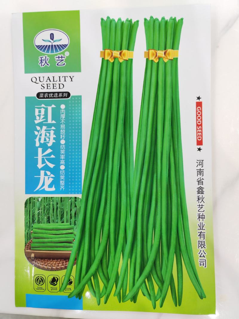 【精】郑研绿将军豆角种子，抗高温，结荚多，抗病好！