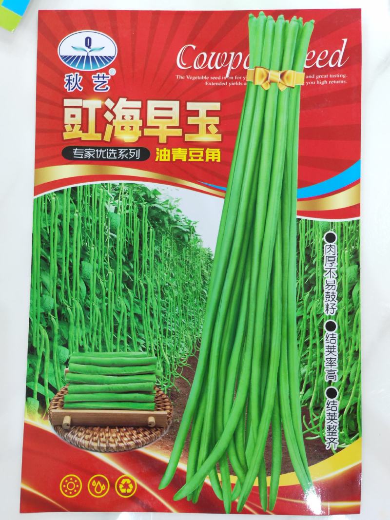 【精】郑研绿将军豆角种子，抗高温，结荚多，抗病好！