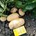 精品黄心土豆沙地土豆产地直发品质保证欢迎联系
