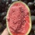 河南黑美人西瓜🍉产地一手质量保证电商优选量大价优