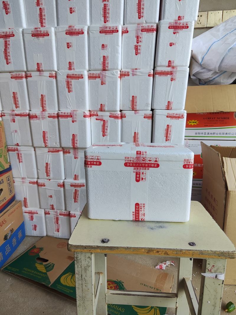 河南小黄瓜小黄瓜电商小包装市场货各种包装规格都有