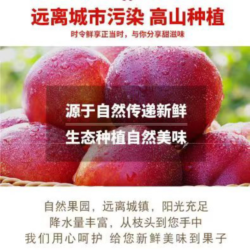 精品新鲜露天518油桃支持全国代发货源充足