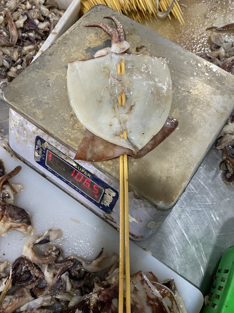 山东威海专业鱿鱼串厂家，鱿鱼串膘厚，缩水率极低。规格全