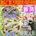 新货地参地摊展会热销虫草参白虫草地蚕