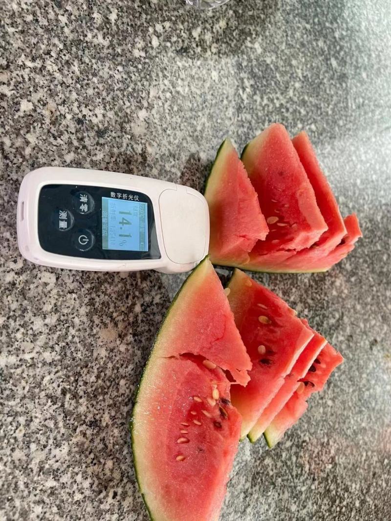 新货吐鲁番火州小西瓜头茬新货一件起发
