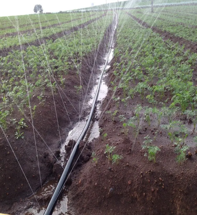 农用加厚微喷带，灌溉水带，全新PE材质，耐寒耐腐蚀耐高温