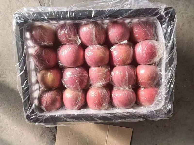 精品冰糖心纸加膜红富士苹果，一手货源，香甜可口，产地直供