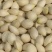 山东郯城白果