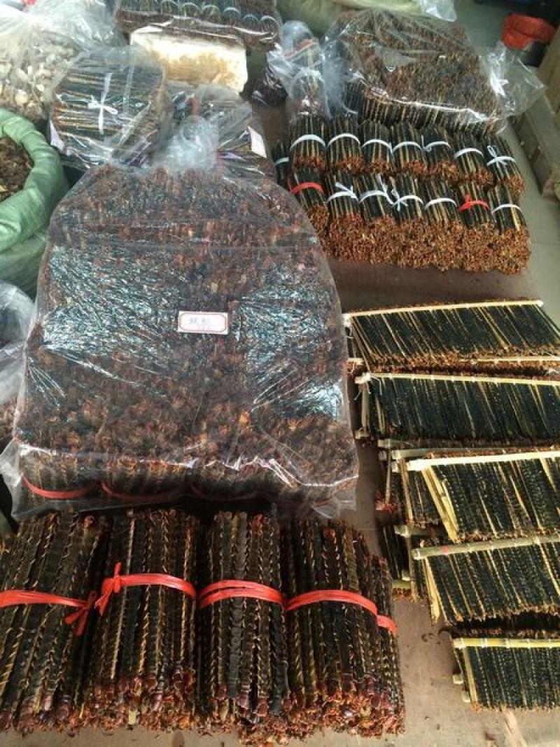药用蜈蚣，产地代收，代发，没有中间商，品质好大小都有货！