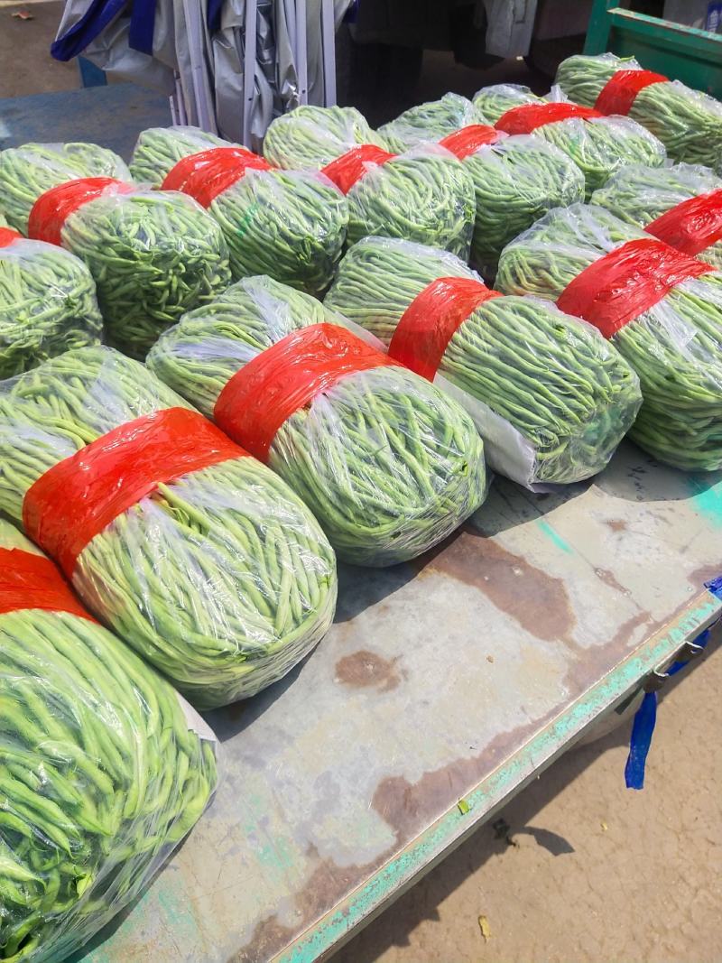 白不老，豆王，豆角大量上市
