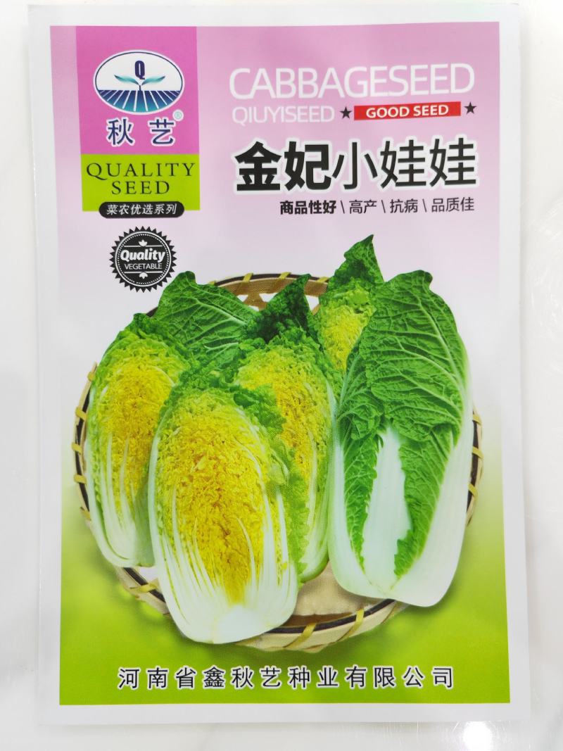 【精】金妃娃娃菜种子韩童大娃娃菜种子10g
