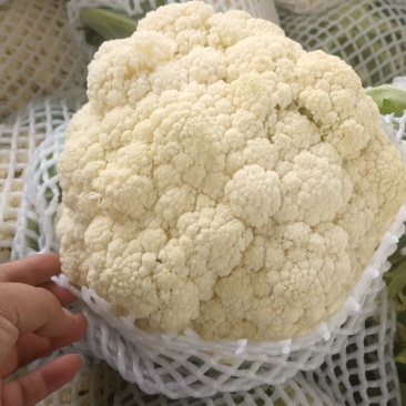 河南精品有机花菜大量上市，欢迎全国客商前来采购，代发全国