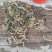 野生蜈蚣