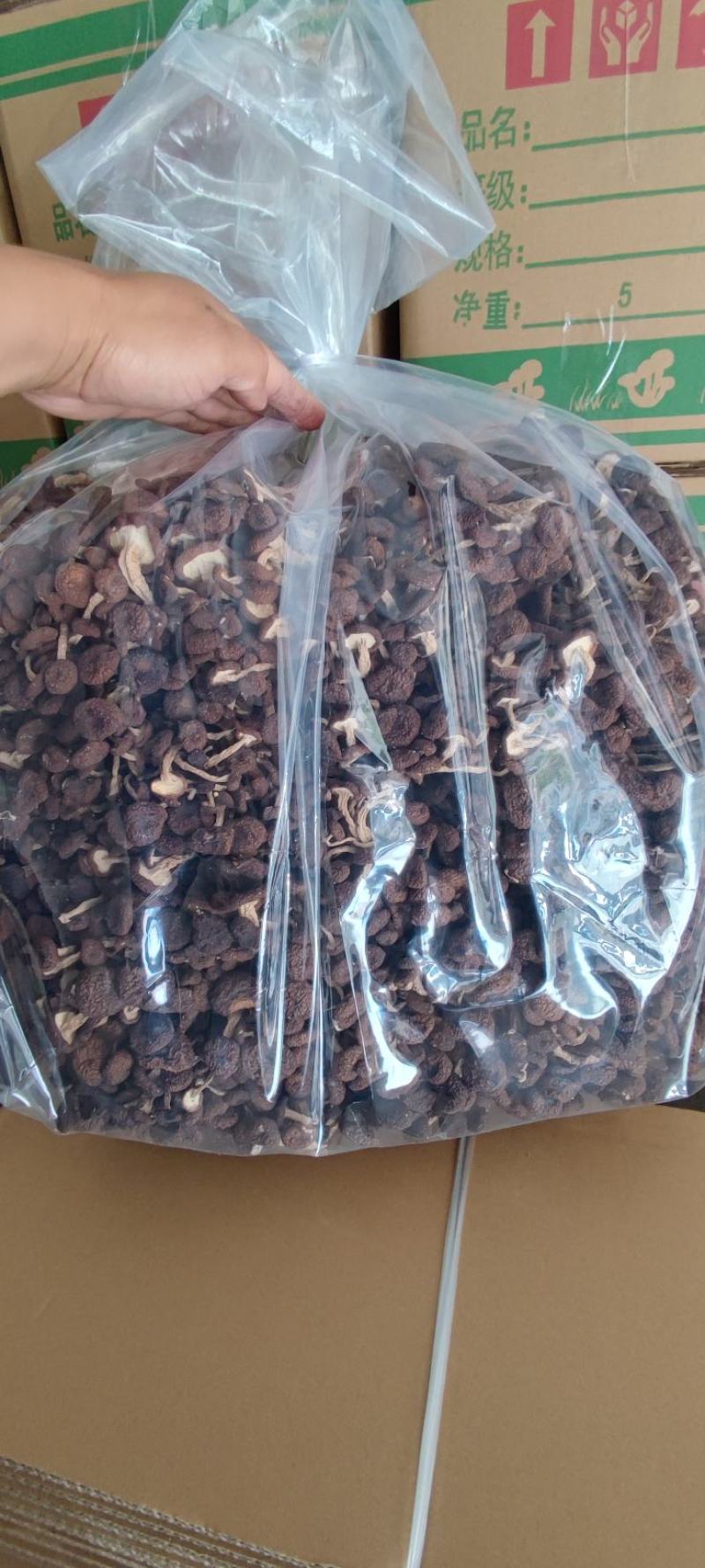 精品江西广昌县茶树菇五号菇10斤装