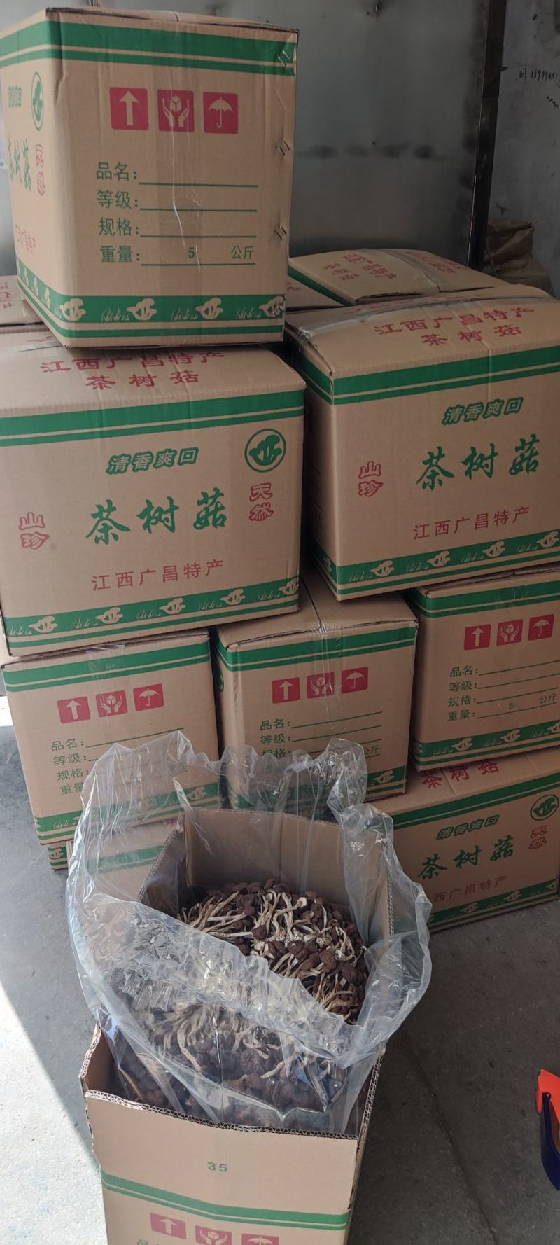 精品江西广昌县茶树菇五号菇10斤装