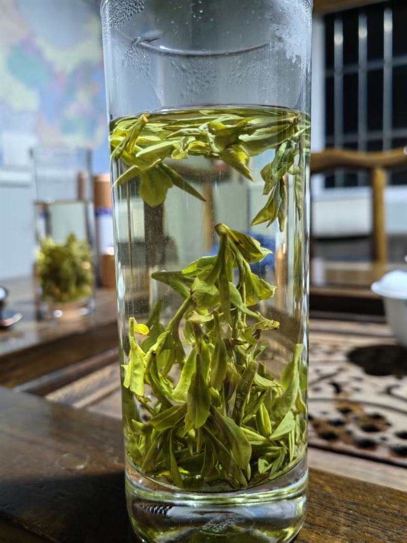 正宗杭州西湖龙井茶2024新茶自家茶园
