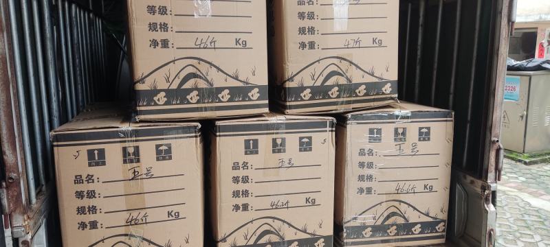 精品江西广昌县茶树菇五号菇大件45斤至55斤不等