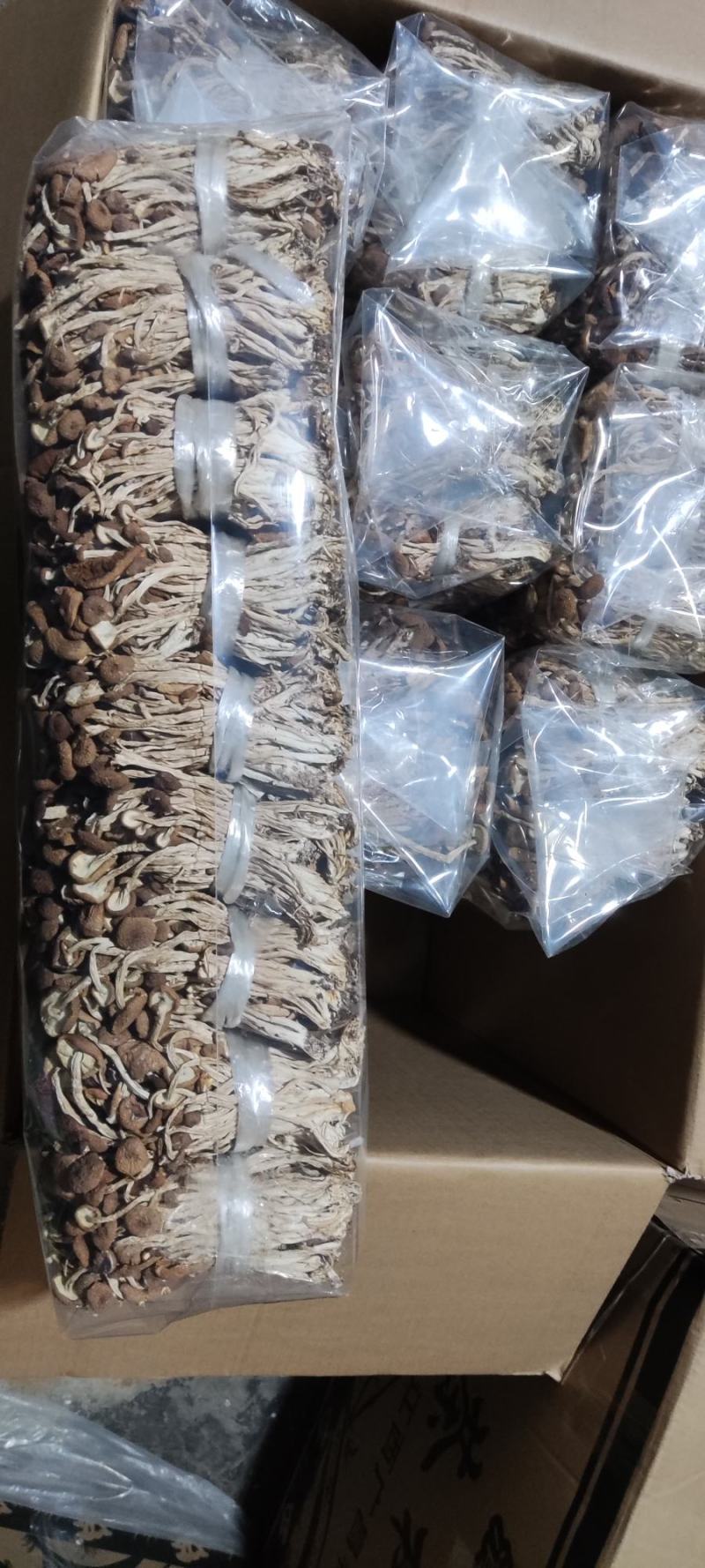 精品江西广昌县茶树菇3号菇扎把5斤*12包/件/