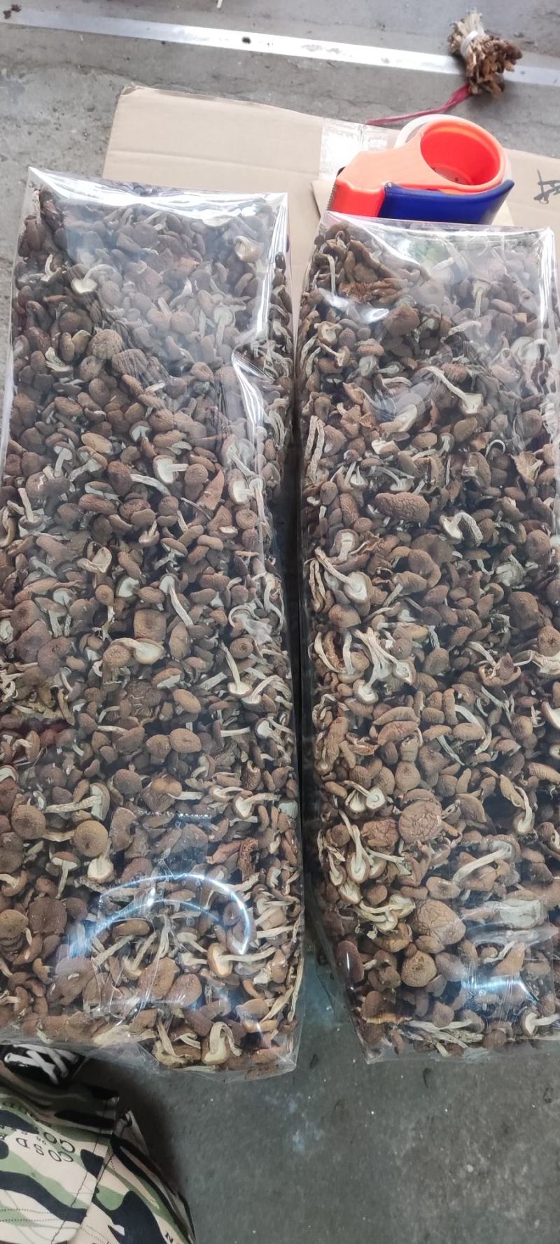 精品江西广昌县茶树菇3号菇扎把5斤*12包/件/