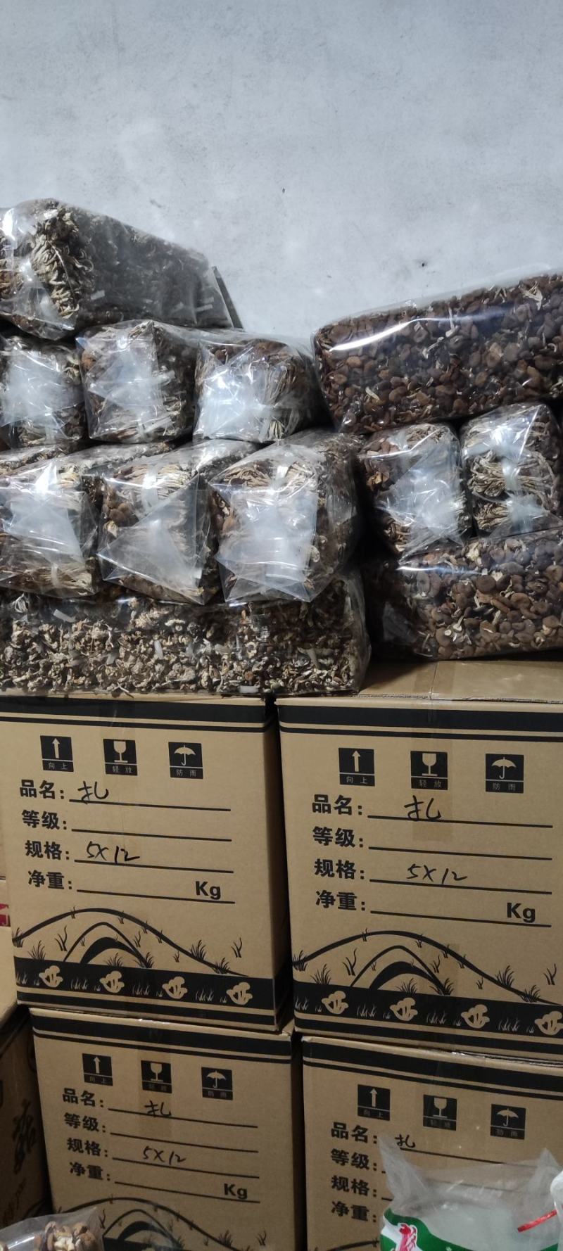 精品江西广昌县茶树菇3号菇扎把5斤*12包/件/