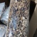 精品江西广昌县茶树菇3号菇扎把5斤*12包/件/