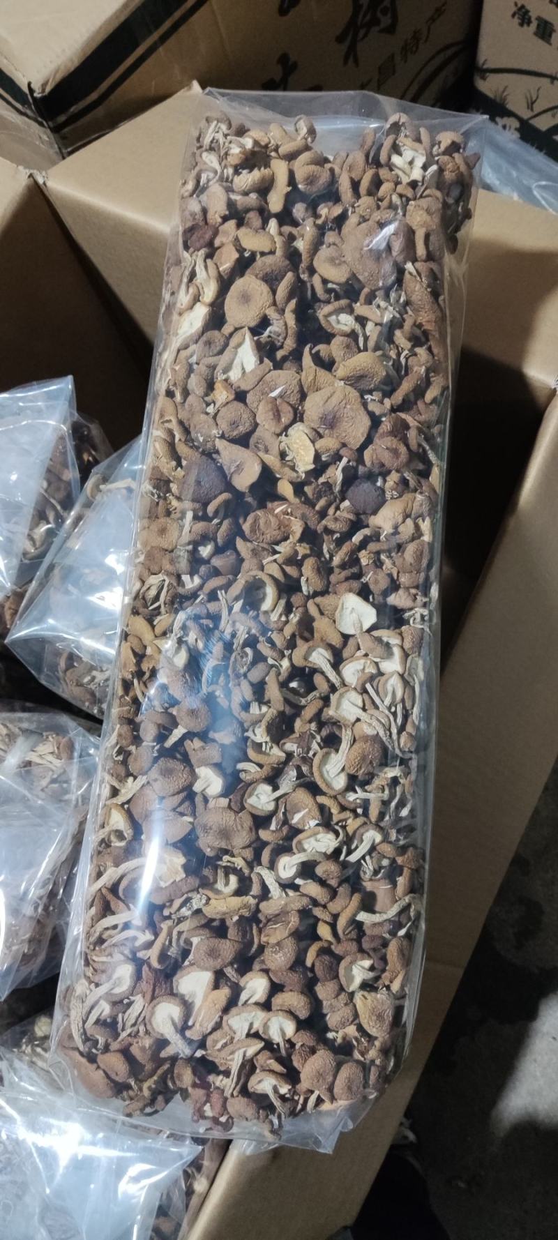 精品江西广昌县茶树菇3号菇扎把5斤*12包/件/