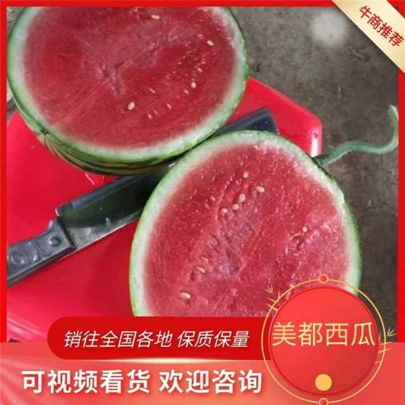 美都西瓜【西瓜】5斤打底9成熟皮薄多汁口感甘甜