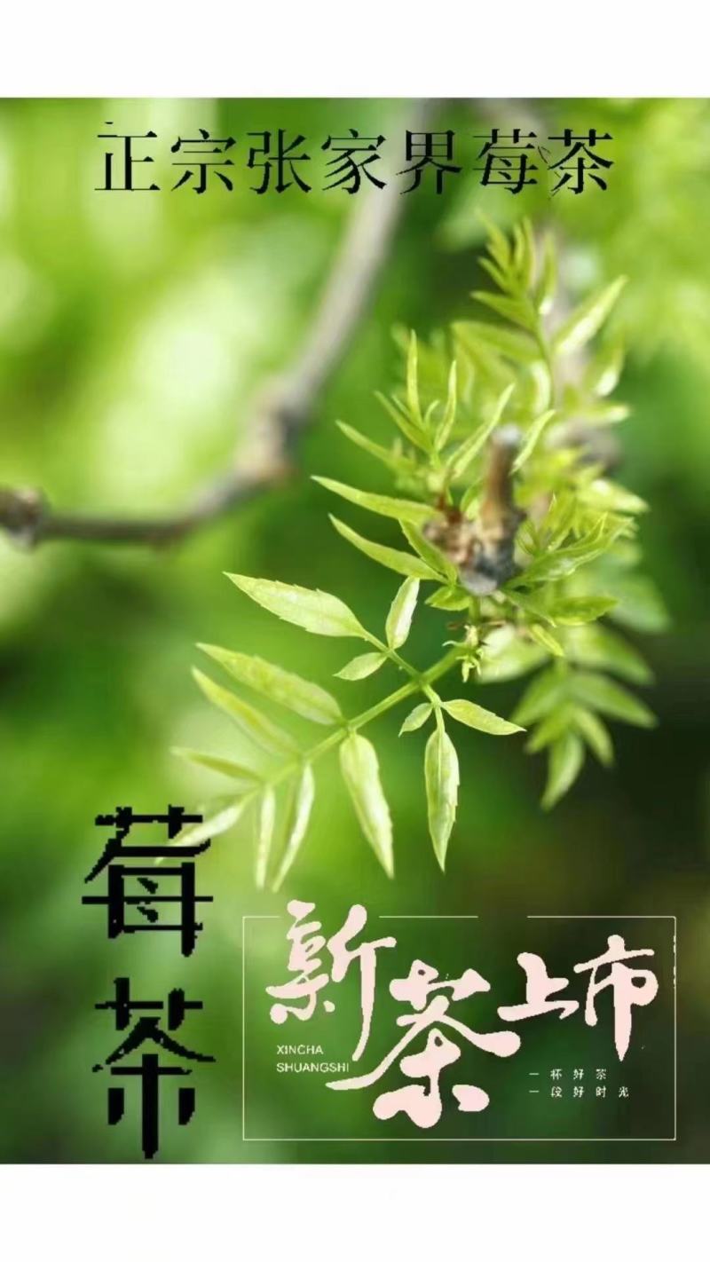 张家界莓茶茶香四溢醇厚色泽好大量现货欢迎联系合作