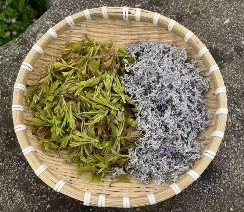 张家界莓茶茶香四溢醇厚色泽好大量现货欢迎联系合作