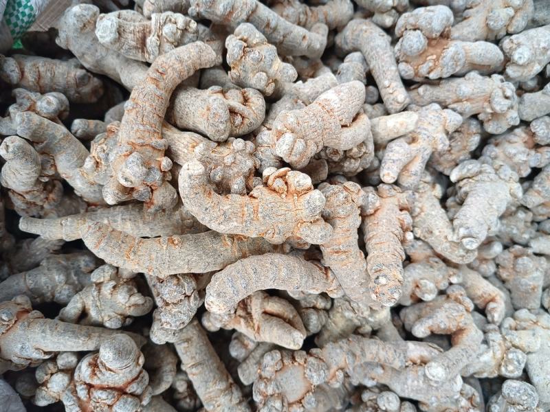 文山三七根茎（产地直批，多规格可选，可免费打粉）
