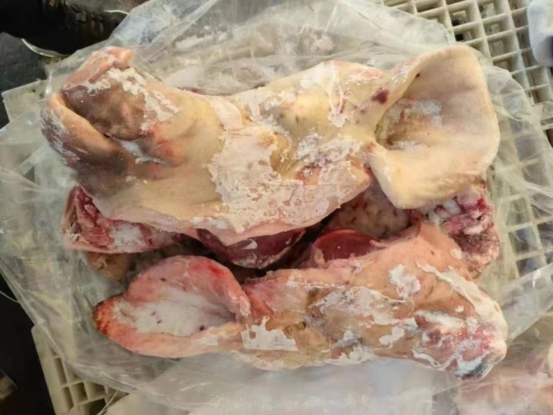 母猪带耳二级猪头，新货，货源稳定，厂家直销