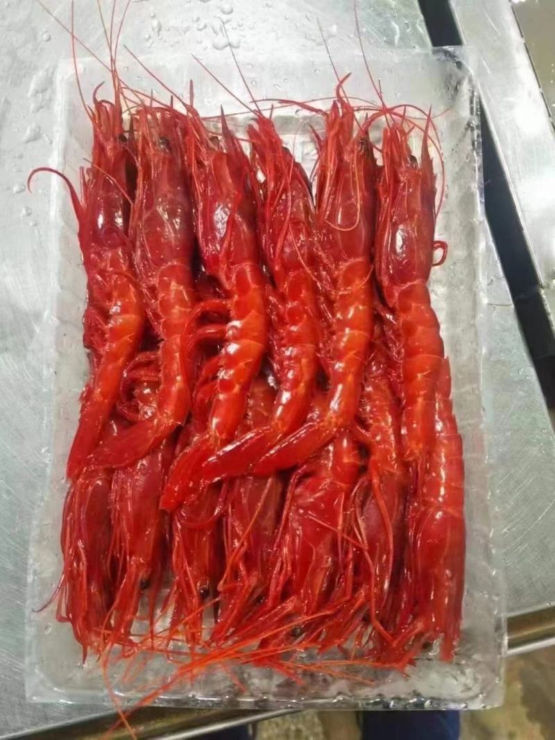 红魔虾