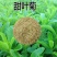 菊花种子甜叶菊种子香草种子可泡茶阳台花种子甜味花卉植