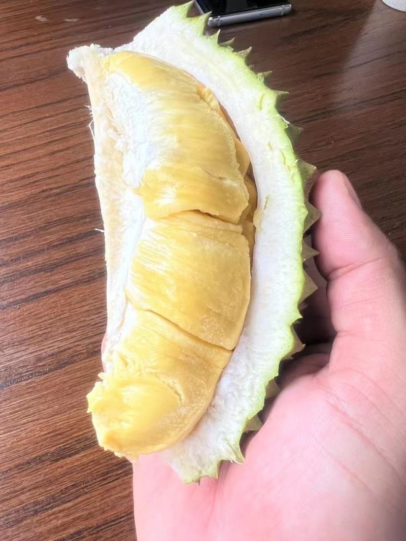 榴莲大量出货中，有需要的联系我