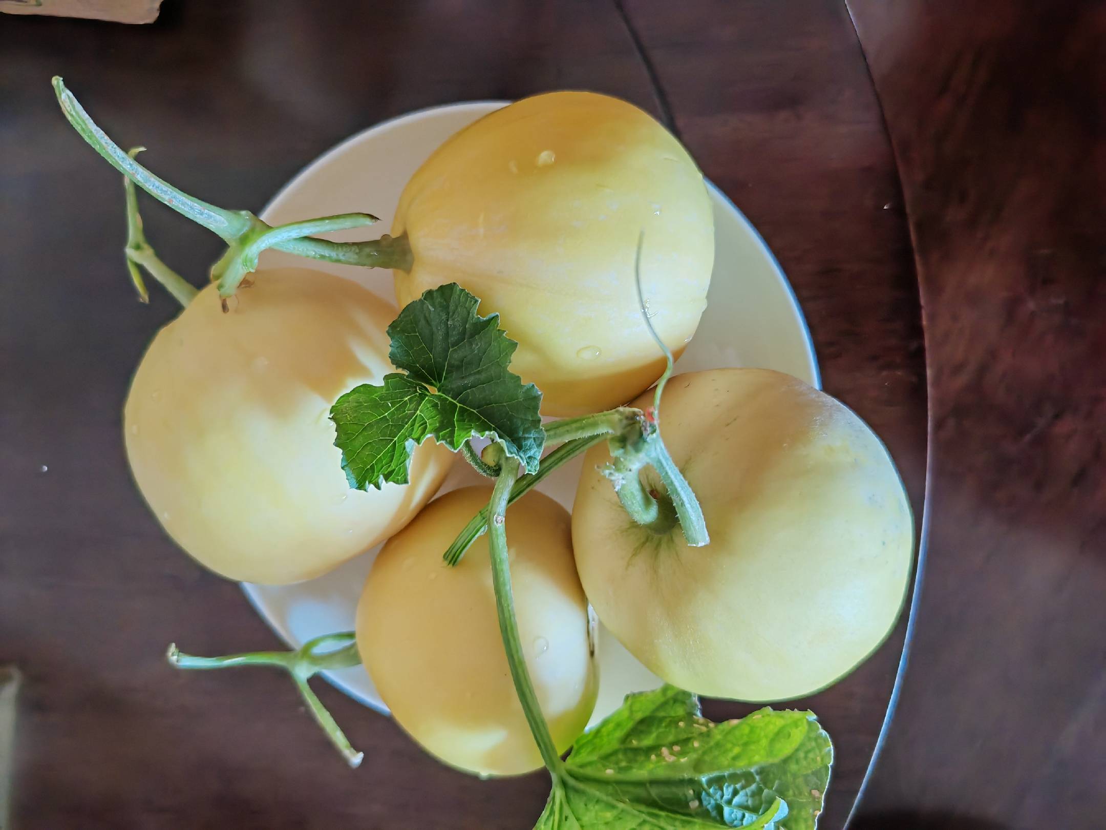 展示一颗新鲜的伊丽莎白甜瓜,果皮呈淡黄色,果肉饱满多汁 伊丽莎白甜瓜的果实特写