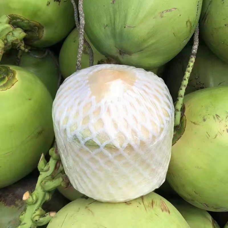海南椰子，带皮椰青精品椰子货量充足全国发货欢迎致电