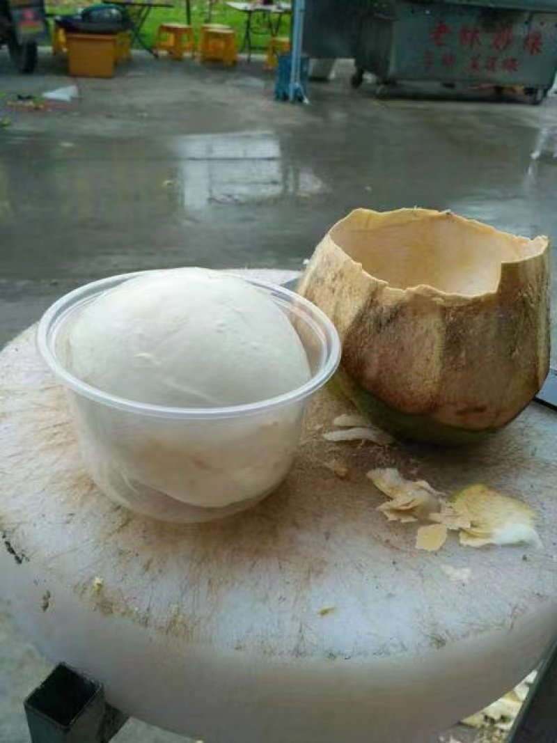 海南椰子，带皮椰青精品椰子货量充足全国发货欢迎致电
