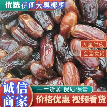 优选黄椰枣伊朗黑椰枣沙特椰全国包邮一手货源支持一件代发