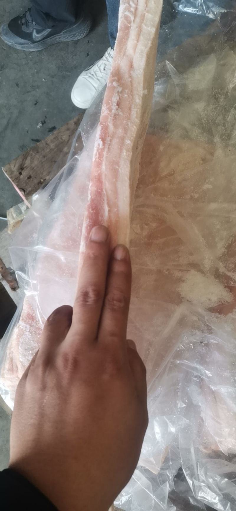 肥猪带皮中方五花，新货，手续齐全，厂家直销供应稳定