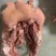 7-8成熟熟圈肉20斤熟猪头肉，猪脸肉，带核桃肉7-8成
