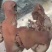 7-8成熟熟圈肉20斤熟猪头肉，猪脸肉，带核桃肉7-8成