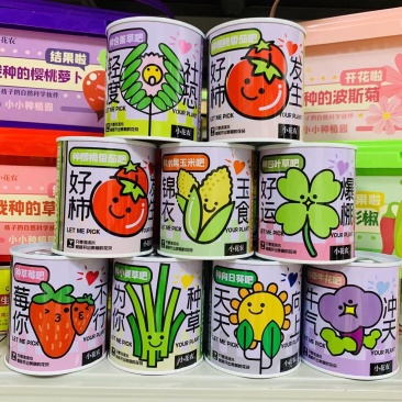 网红种植小盆栽儿童diy草莓种植罐头四叶草盆栽办公室迷你