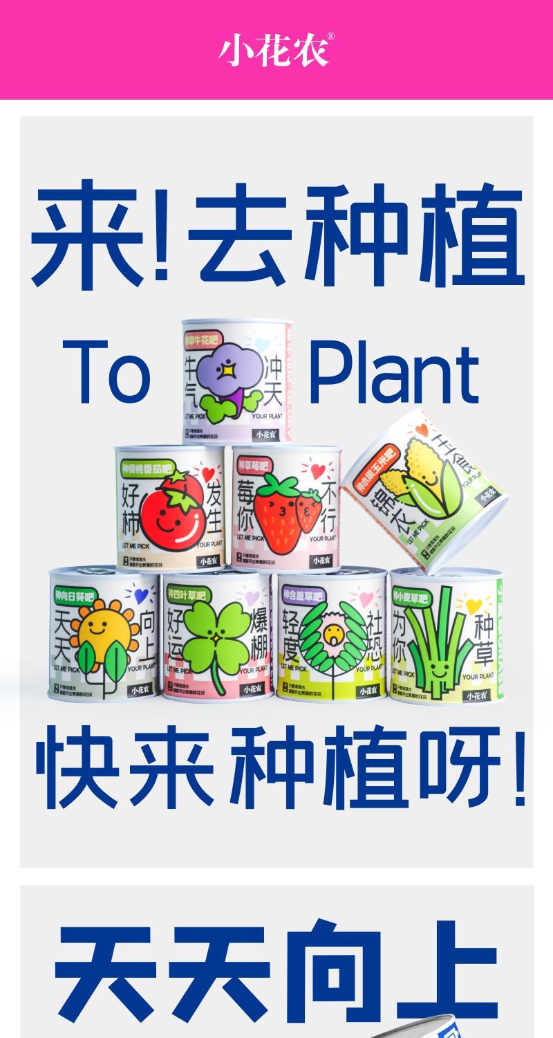 网红种植小盆栽儿童diy草莓种植罐头四叶草盆栽办公室迷你