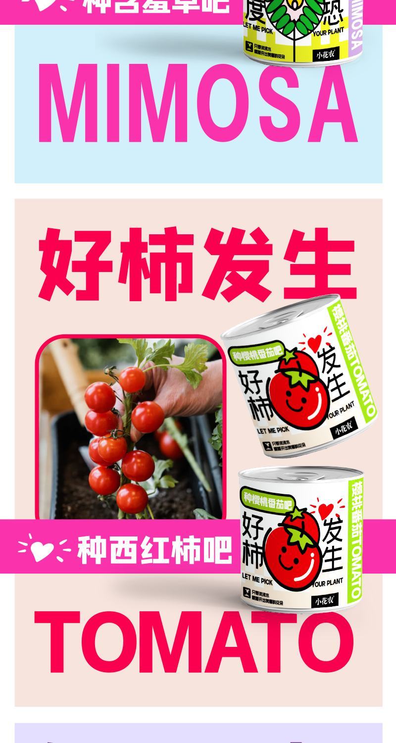 网红种植小盆栽儿童diy草莓种植罐头四叶草盆栽办公室迷你