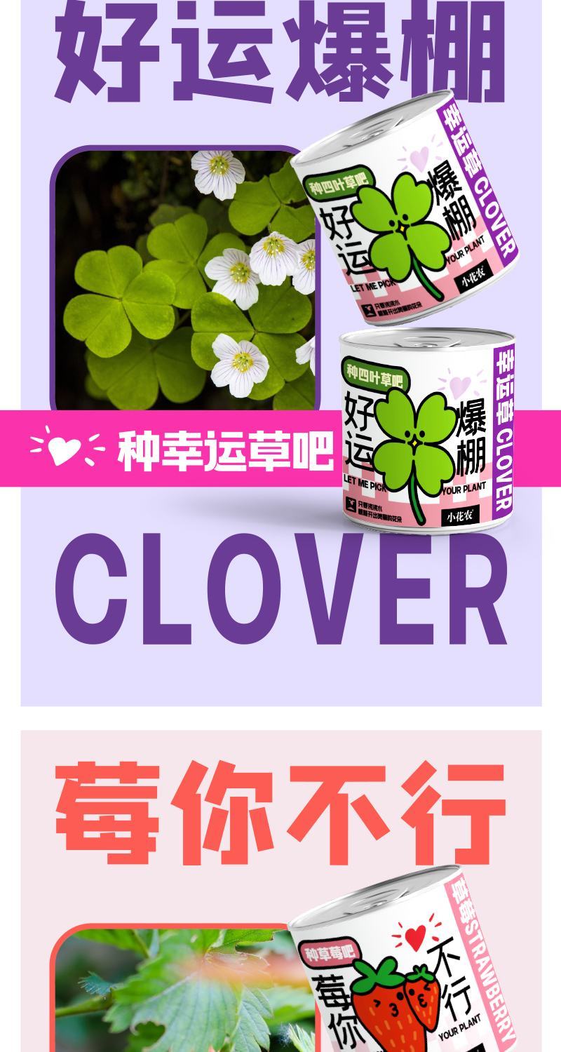 网红种植小盆栽儿童diy草莓种植罐头四叶草盆栽办公室迷你