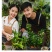 网红种植小盆栽儿童diy草莓种植罐头四叶草盆栽办公室迷你