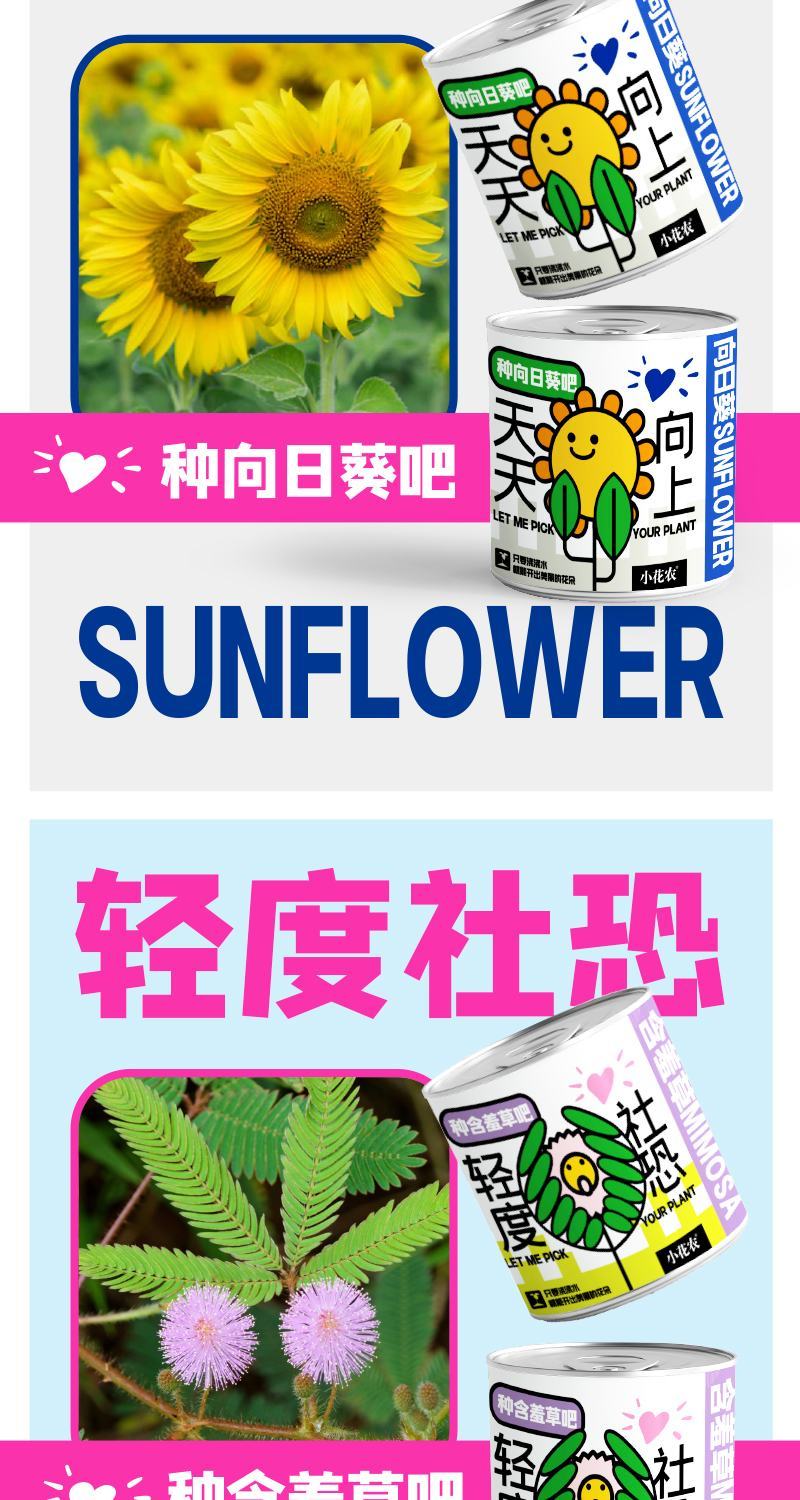 网红种植小盆栽儿童diy草莓种植罐头四叶草盆栽办公室迷你